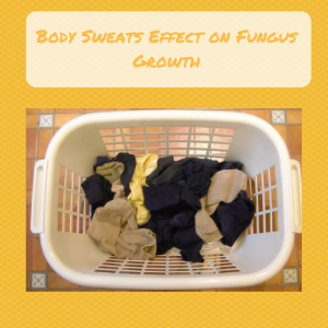 Body Sweats Effect on Fungus Growth