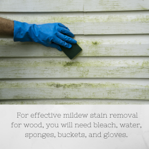 Mildew Stain Removal for Wood