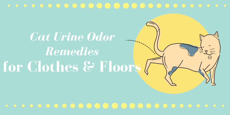 Cat Urine Odor Remedies for Clothes & Floors
